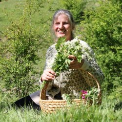 Kom med p svampejagt i urrt skov tt p Vejle og Jelling