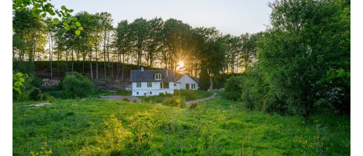 stbjerglund i Grejsdalen – et unikt naturomrde med hj biodiversitet og 50 rs urrt natur