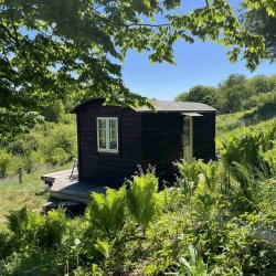 Lej en hytte midt i Grejsdalens vilde natur