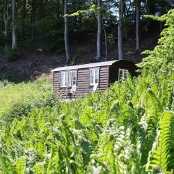 Lej en hytte midt i Grejsdalens vilde natur