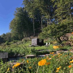 Lej en hytte midt i Grejsdalens vilde natur